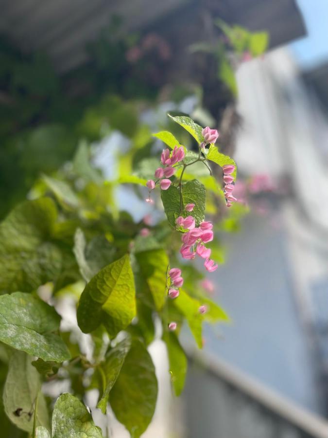 月光荘沖縄 Hotel Наха Екстериор снимка
